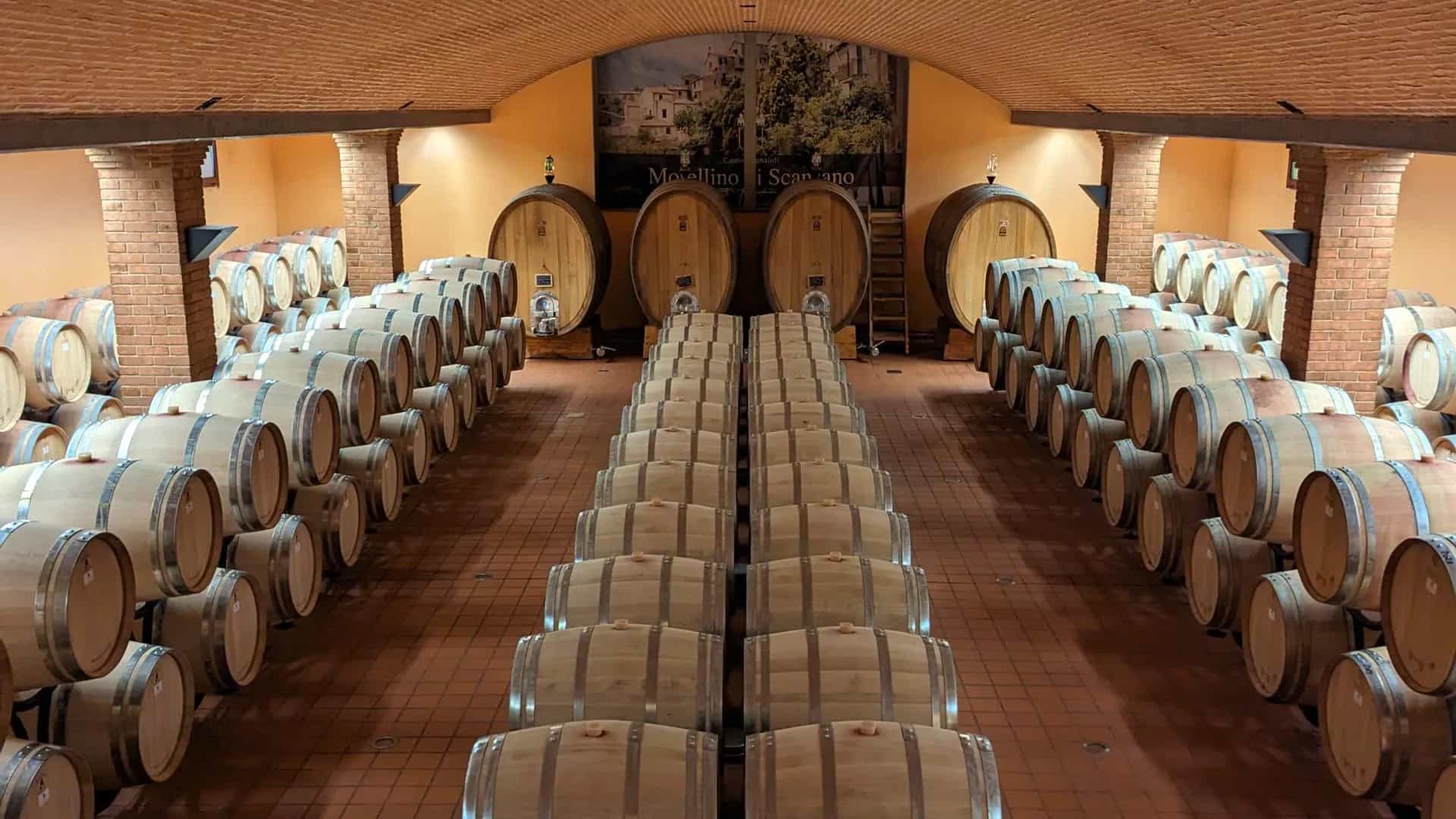 Morellino di Scansano DOCG: Il Vino Toscano che Seduce con i Profumi del Mare e l'Eleganza del Sangiovese